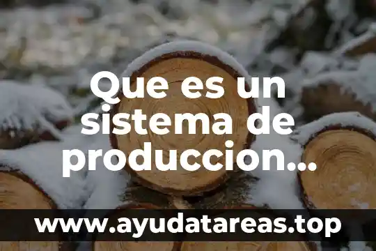 Qué es la distribución de planta libros 3 Que es un sistema de produccion libros