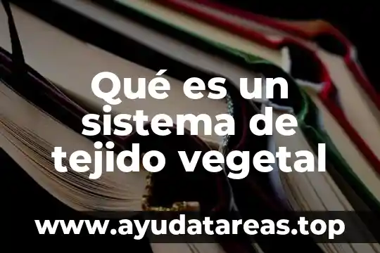 Qué es un sistema de tejido vegetal