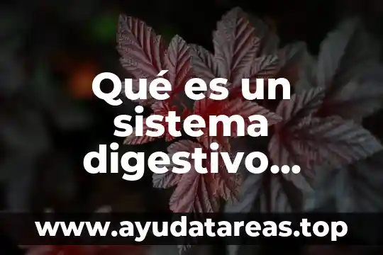 Qué es un sistema digestivo monogástrico y poligástrico
