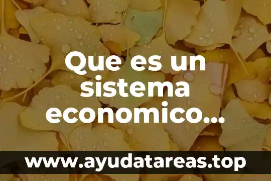 Que es un sistema economico mixta