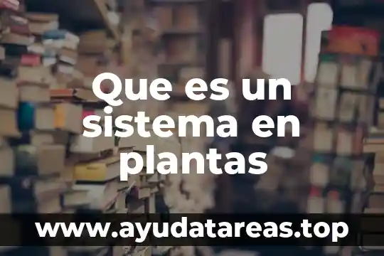 Qué es un sistema de doble embrague 8 Que es un sistema en plantas
