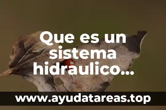 Por que es importante el agua en la vida diaria 5 Que es un sistema hidraulico ejemplos en la vida cotidiana
