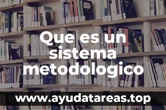 Qué es un sistema de doble embrague 3 Que es un sistema metodologico