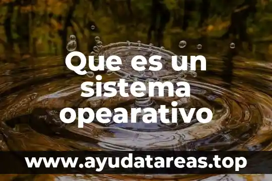 Que es el sistema backflush 4 Que es un sistema opearativo