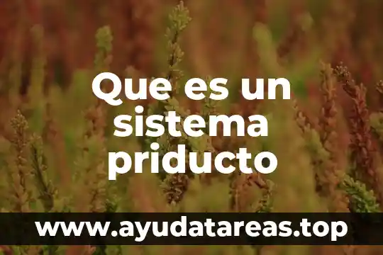 Que es un sistema priducto