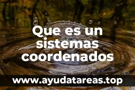Que es una señal amplificada en sistemas de control 7 Que es un sistemas coordenados