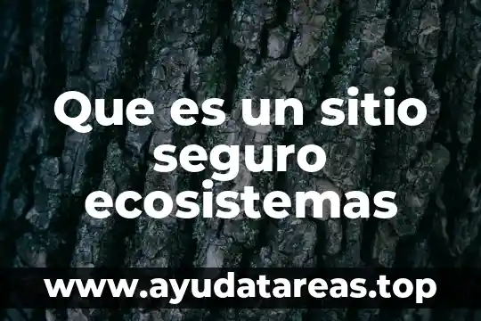 Que es sitio web ejemplos con nombre 6 Que es un sitio seguro ecosistemas