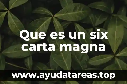 Que es un six carta magna