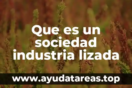 El número Avogadro que es y para que sirve 3 Que es un sociedad industria lizada