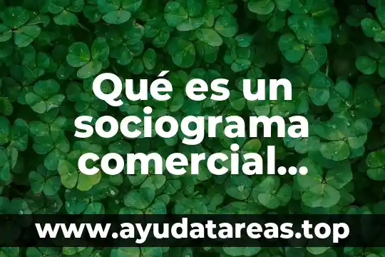 Rafael perez miranda que es el nombre comercial 5 Qué es un sociograma comercial ejemplo