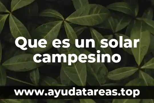 Que es un satelite del sistema solar nombre 3 Que es un solar campesino