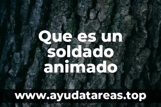 Que es medir animado 3 Que es un soldado animado