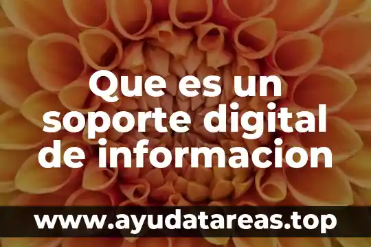 Que es un soporte digital de informacion