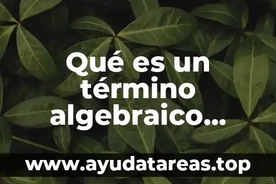 Qué es el lenguaje algebraico variables 6 Qué es un término algebraico definición