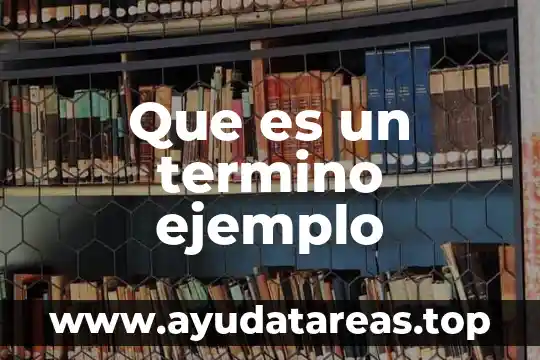 Que es un termino ejemplo