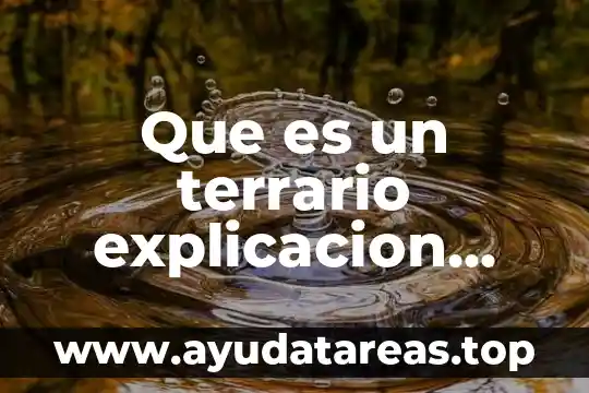 Que es un informe explicacion sencilla 4 Que es un terrario explicacion para niños de primaria