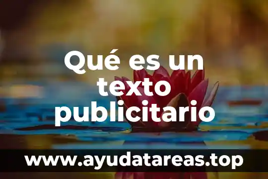 Que es un diagrama de representación con ilustraciones y texto 5 Qué es un texto publicitario