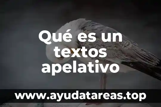 Qué es cuerencia en los textos en la estructura 6 Qué es un textos apelativo