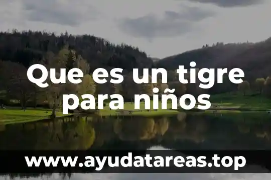 Que es un bazar definición para niños 6 Que es un tigre para niños
