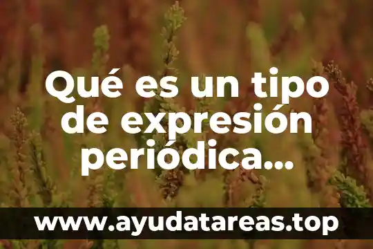 Que es un marco tipo butler en una seccion i 5 Qué es un tipo de expresión periódica mixta