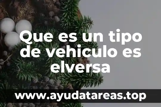 Tipo de planta que es el nopa 4 Que es un tipo de vehiculo es elversa