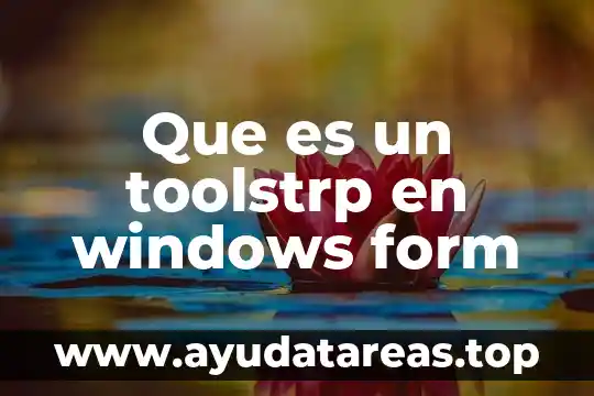 Passive voice indirect form que es y ejemplo 5 Que es un toolstrp en windows form