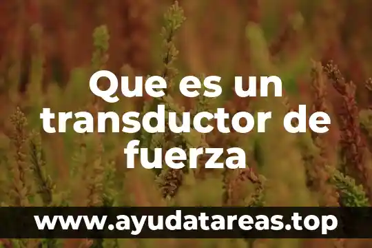 En filosofía que es método clases 4 Que es un transductor de fuerza