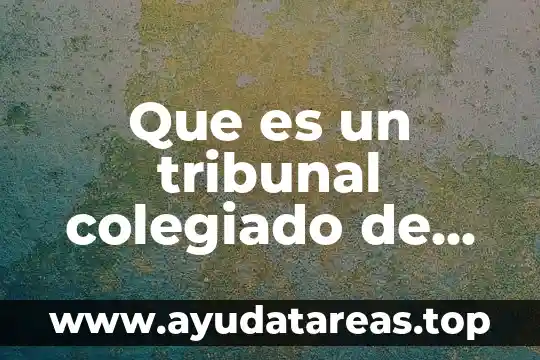 Que es un tribunal colegiado de circuito en mexico