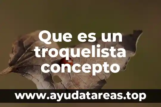 Que es un troquelista concepto