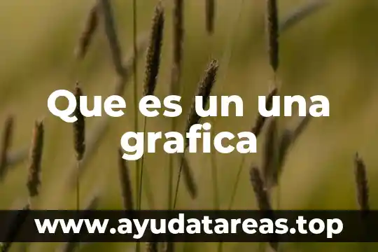 Grafica de que es una novela 7 Que es un una grafica