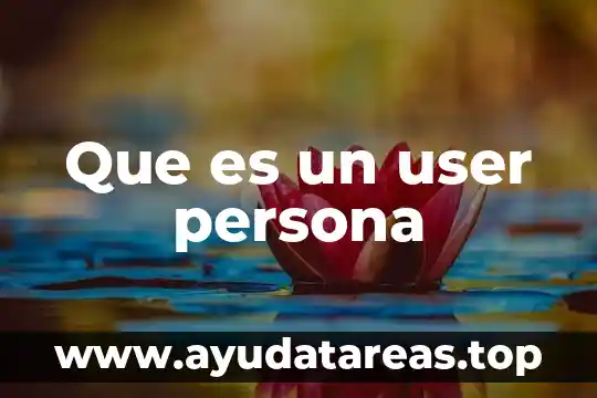 Que es una persona inalterada 7 Que es un user persona