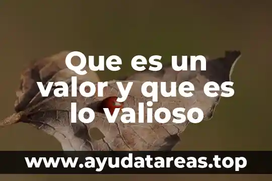 Qué es más valioso flor imperial o quintilla 4 Que es un valor y que es lo valioso