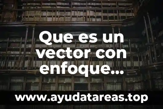 Que es un vector con enfoque matemático