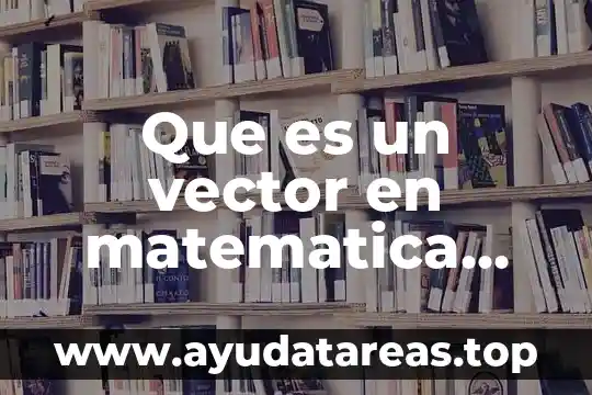 Que es un vector en matematica caracterizacion