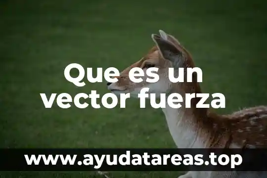 Que es un vector fuerza