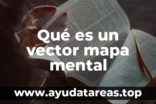 Qué es un vector mapa mental
