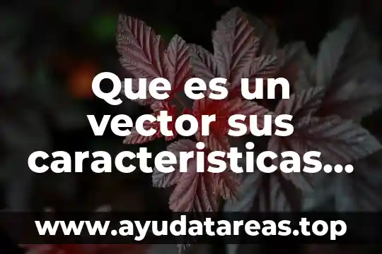 Que es un dominio de internet tipos y caracteristicas 4 Que es un vector sus caracteristicas y propiedades