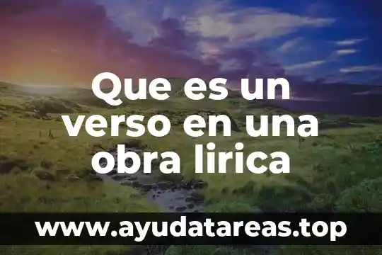 Que es poesia lirica su definición concepto y significado 6 Que es un verso en una obra lirica