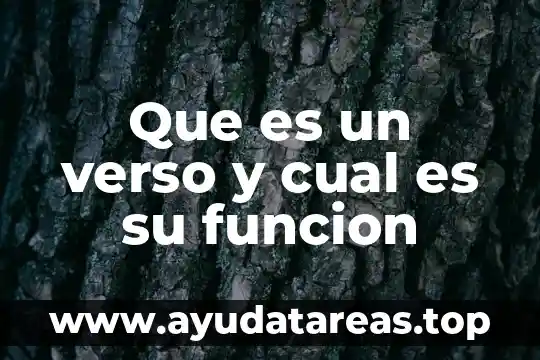Que es un verso y cual es su funcion