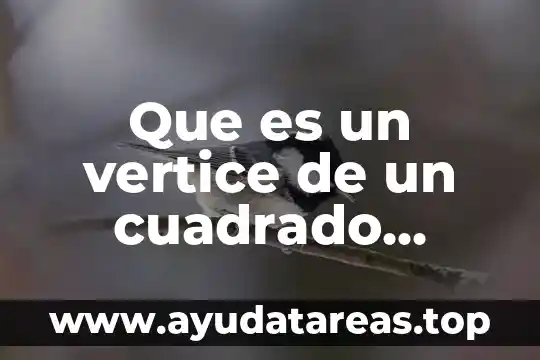 Que es un vertice de un cuadrado interno