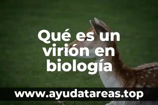 Qué es un virión en biología
