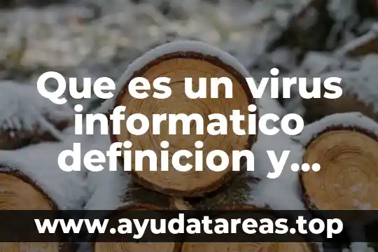 Que es un virus informatico definicion y calificacion de virus
