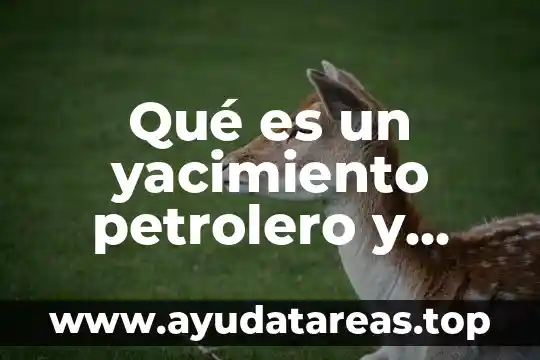 Que es un compuesto y porque esta formado 8 Qué es un yacimiento petrolero y cómo está formado químicamente