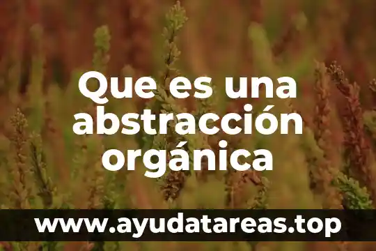 Que es una abstracción orgánica