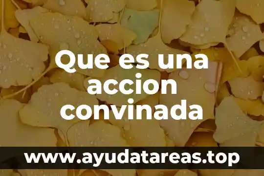 Qué es un libro de acción política 5 Que es una accion convinada