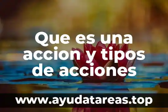 Que es un isomero y sus tipos 6 Que es una accion y tipos de acciones