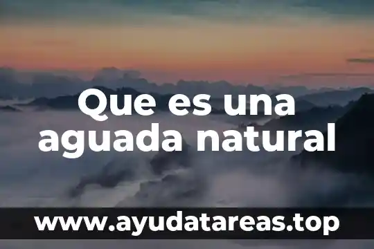Que es un signo natural 5 Que es una aguada natural