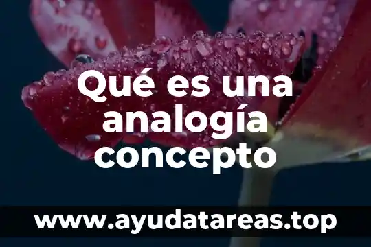 Qué es una analogía concepto