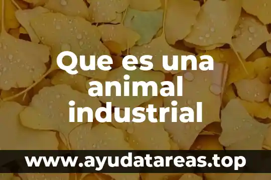 Qué es un animal insectívoro 8 Que es una animal industrial