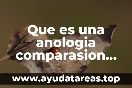 Que es rima y tipos de rima 4 Que es una anologia comparasion rima juego de palabras
